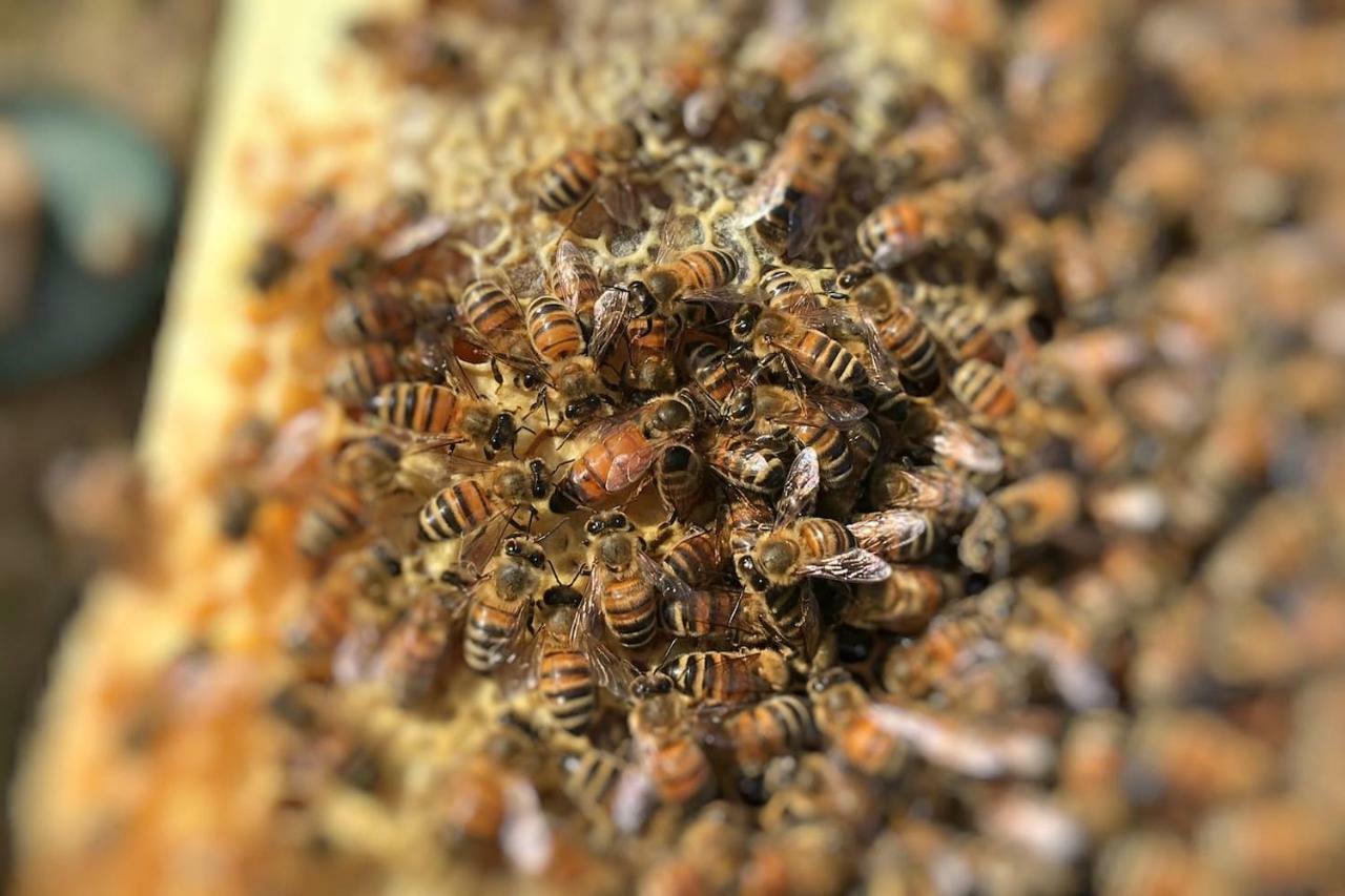 The Hive Stefy'S Apartment Іглесіас Екстер'єр фото